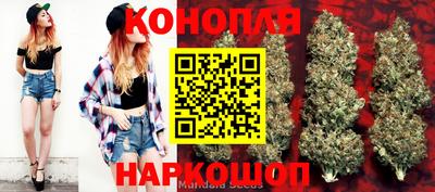 индика Шебекино