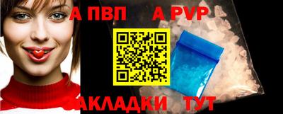 гашик Шелехов
