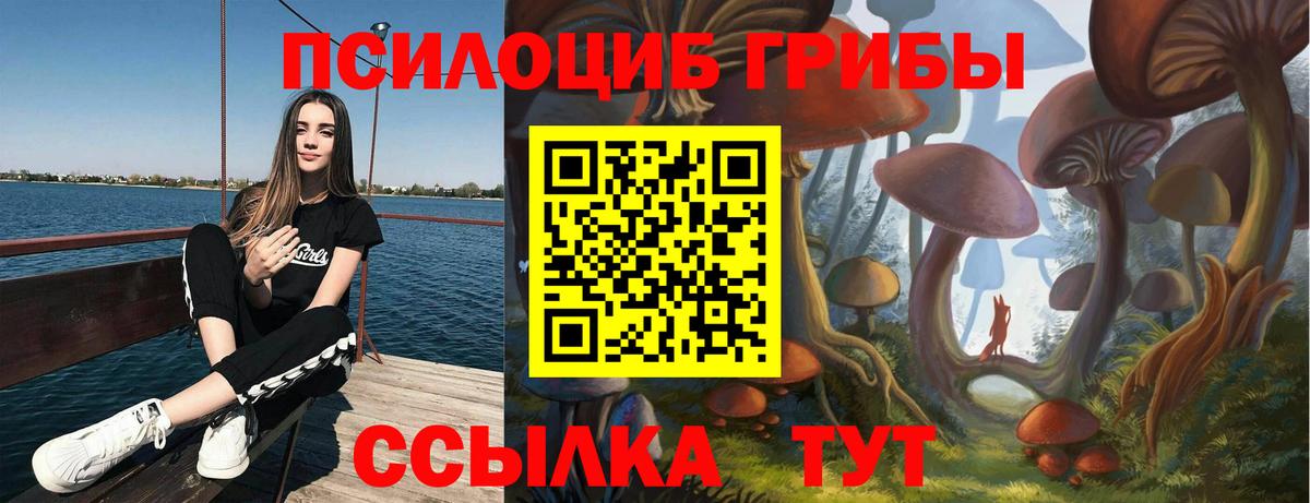 Галлюциногенные грибы прущие грибы Протвино